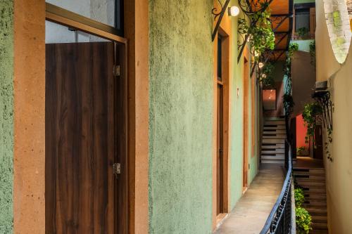Straw Hat Hostel & RoofTop Bar CDMX - image 5