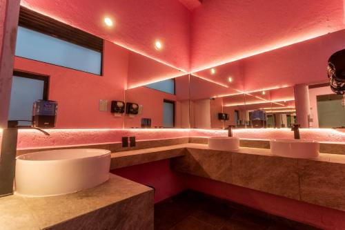 Straw Hat Hostel & RoofTop Bar CDMX - image 4