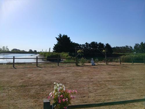 Domaine au coeur du Marais in Bouin