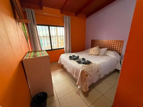 Hostal Nuevo Sol y Viento