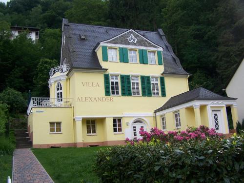 Ferienwohnung Villa Alexander 4 DTV-Sternen Neu Eröffnung - Accommodation - Bad Ems