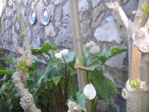 B&B L'Arcobaleno