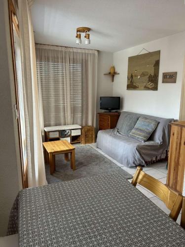 Résidence Bois Du Fau - T2 vue sur les pistes et Montagne Eyssina au centre de Vars les Claux MAE-7721