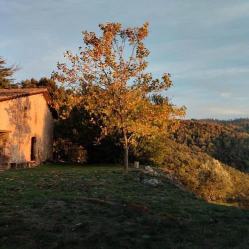 Mas Montornes Silvestre in Sant Sadurni D'Osormort