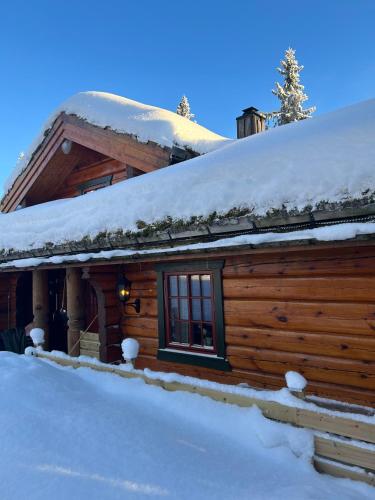 Exterior view, Timber cabin in Sjusjoen
