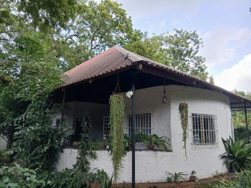 Exterior view, Malindi Backpackers in Malindi