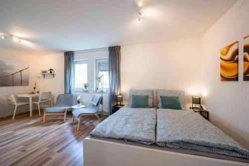 Studio ApartmentTerrace near University campus, Drážďany
