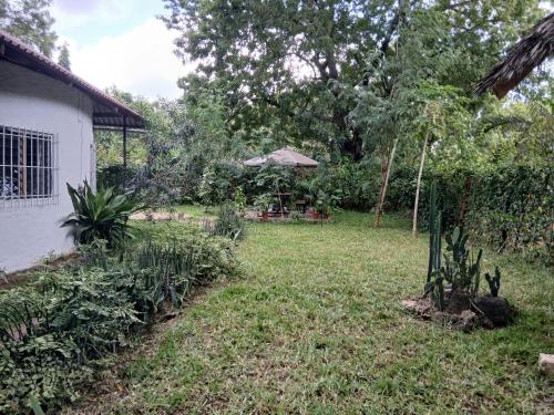 Exterior view, Malindi Backpackers in Malindi
