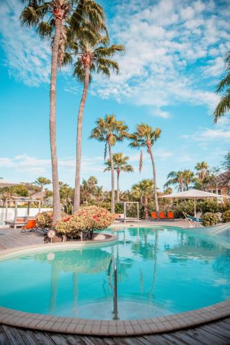 Swimming pool, Chogogo Dive & Beach Resort Curacao in Jan Thiel