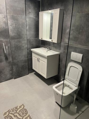 Penthouse at Liberty House, Malishevë (Penthouse at Liberty House, Malisheve) in Suva Reka