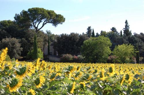 Kilátás, Mas de famille en Provence in Lagarde-Pareol