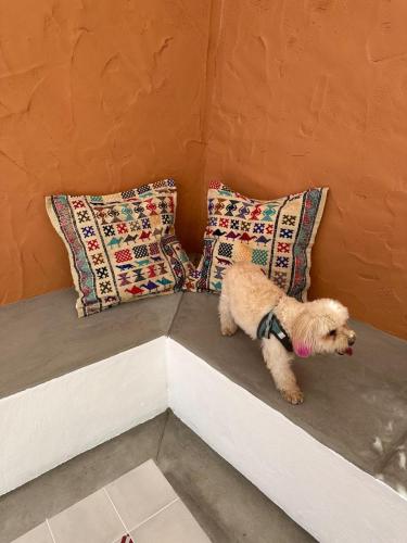 Casa Tia Céu (Casa Tia Ceu) in Santa Luzia