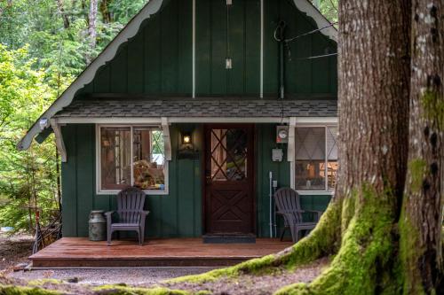 Fog & Fern Hideaway - Cozy Cabin w Private Hot Tub near Mt Rainier in Ashford (WA)
