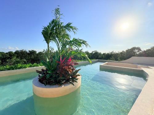 Aahal 4 Holistic Living Retreat en Tulum 4pax