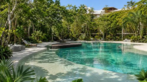 Oasis Yaaxlum estudios
