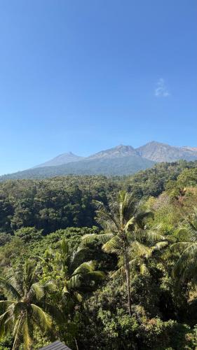 Rinjani Houseboon Room Type - Superior Double Room