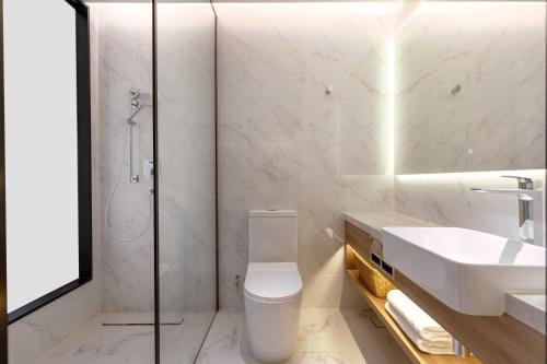 Wyndham Garden Sao Paulo Aclimacao - image 4