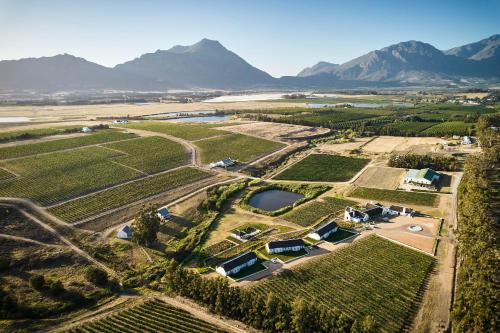 Rijk's Wine Estate & Guesthouse