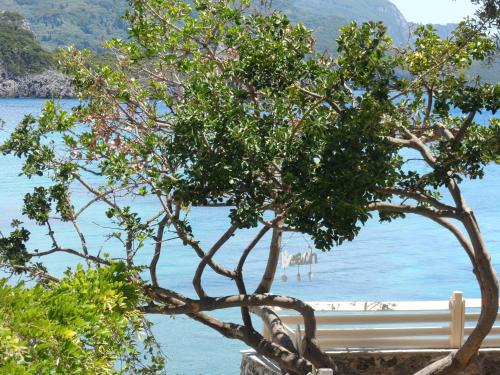 Kalypso Studio, Paleokastritsa (fotografie 9)