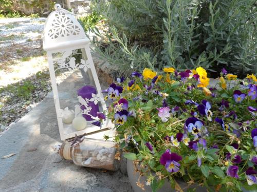 Kalypso Studio, Paleokastritsa (fotografie 8)