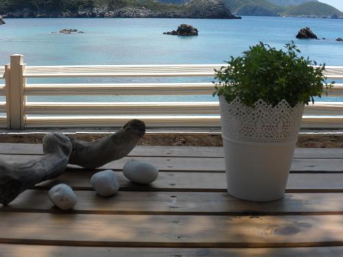 Kalypso Studio, Paleokastritsa (fotografie 5)