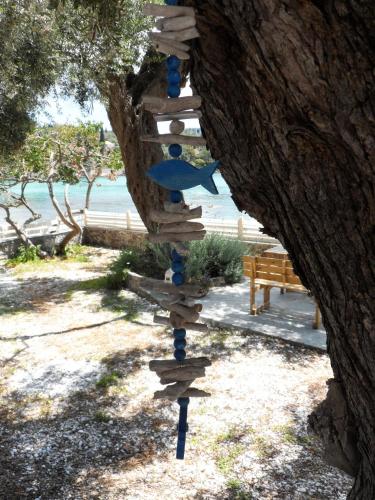 Kalypso Studio, Paleokastritsa (fotografie 2)