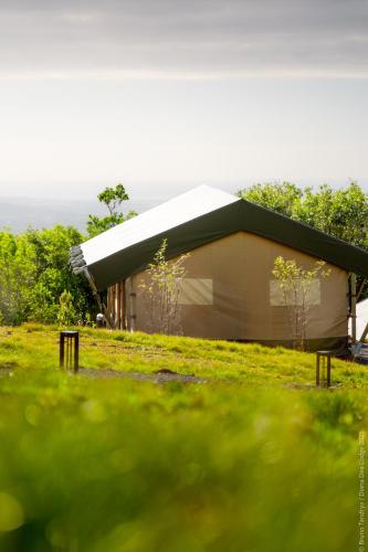 Hôtel Diana Dea Lodge & SPA Room Type - Tent