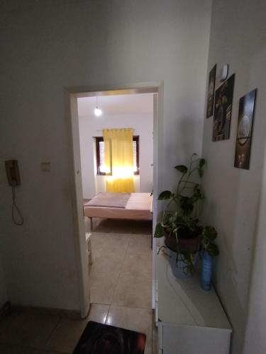Montijo sharing apartment and personal room available overnight stay in มอนติโค