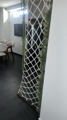 Alma Stchila Suite y departamento, you will feel right at home in Santo Domingo