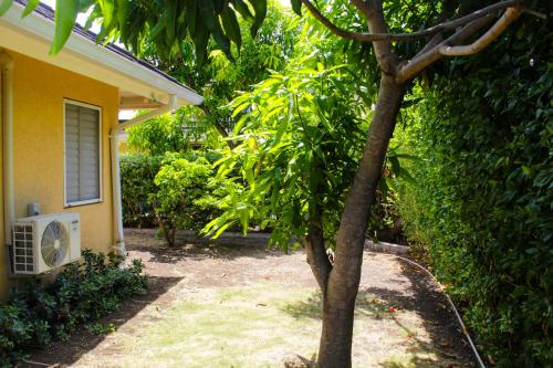 Serene Family-friendly Home With Pool & Gym in Plantation Village