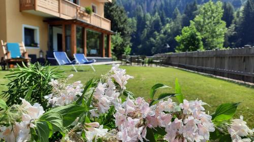 B&BeautyFol Dolomites B&B adults only