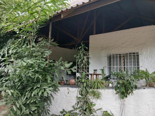 Malindi Backpackers in Malindi