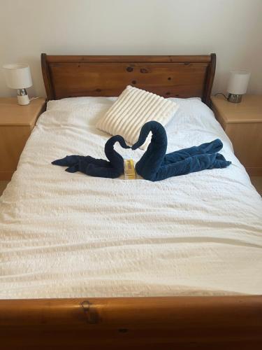 Kingfisher lodge in Sawston