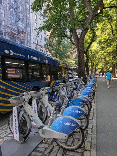 Esportes e Atividades, MANHATTAN ROSE Homestay in Upper East Side