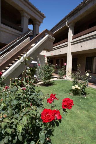 Premier Inns Thousand Oaks - Hotel