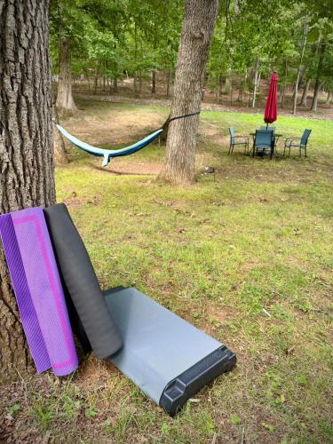 المنطقة المحيطة, RV Glamping Near Blue Ridge Parkway in تروتفيل