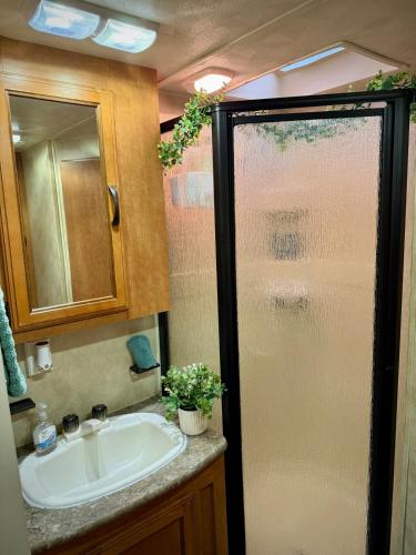 دش, RV Glamping Near Blue Ridge Parkway in تروتفيل