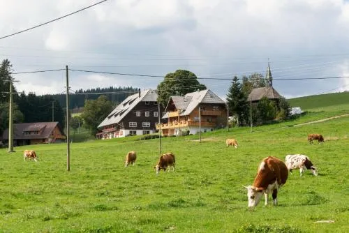 Bärenhof Backhaus in Eisenbach Hochschwarzwald, Deutschland
