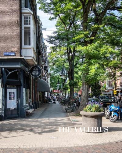 The Valerius Amsterdam - Luxurious Residence in Museum District, Amsterdam (photo 9)