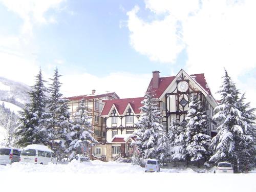 Rosenheim Hakuba - Hotel - Hakuba 47