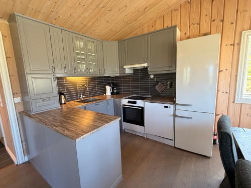 Bergestua - 4 bedroom cabin in Gol