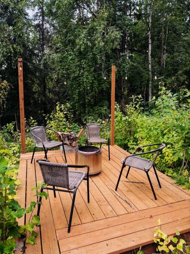Moose Mountain Cabin- Cozy retreat with aurora views in College (AK)