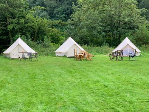 Garden, The West Highland Way Hotel and Campsite in North Glasgow