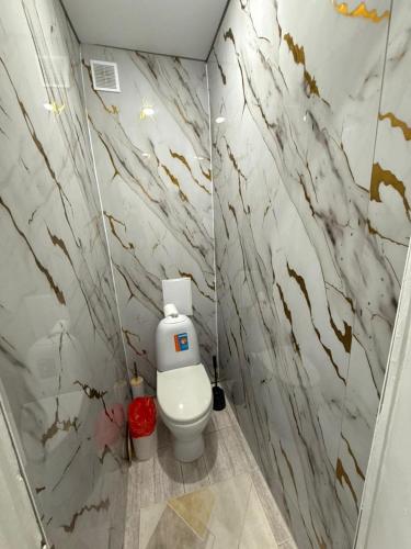 Luxury home in Oskemen