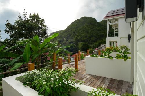 Scenery Hotel Saba in Windwardside