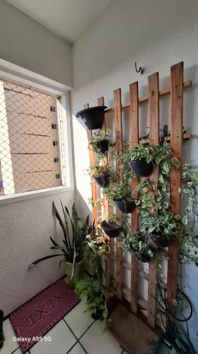 Guest House Sua Vibe - image 4