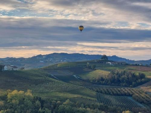 Langhe MorrAmour