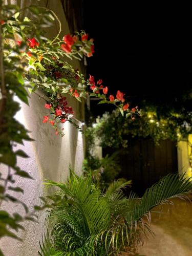 Villa de Jeff - image 2