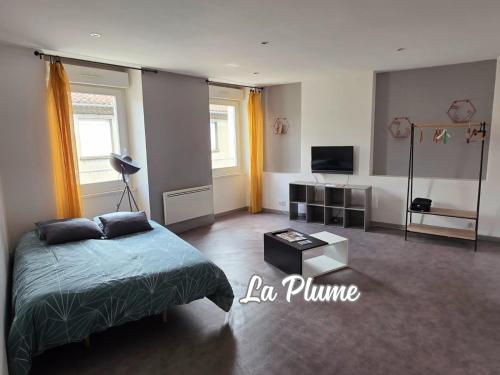 La Plume - Confort & lumineux, cœur Mazamet - Location saisonnière - Mazamet