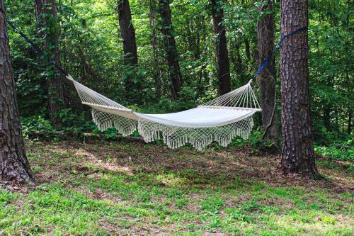 Cozy RV Retreat Fire Pit & Outdoor Cinema in McMinnville (TN)